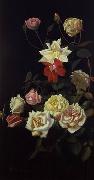 unknow artist Still life floral, all kinds of reality flowers oil painting 32 China oil painting reproduction